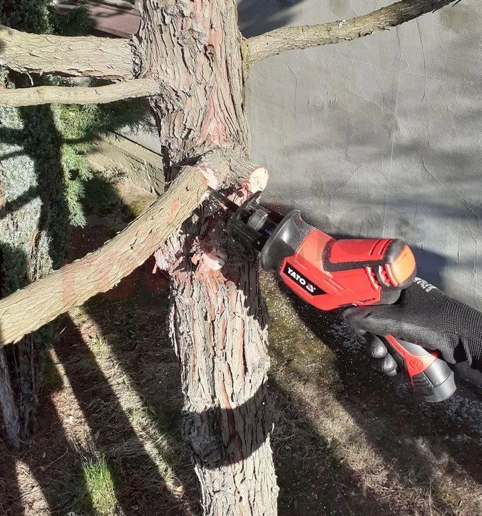 Sierra De Sable Yato YT-82904 » Rotopino.es 7 Sierra De Sable Yato YT-82904 » Rotopino.es - Imagen 5